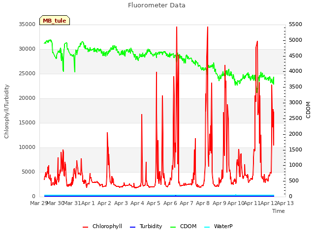 plot of Fluorometer Data