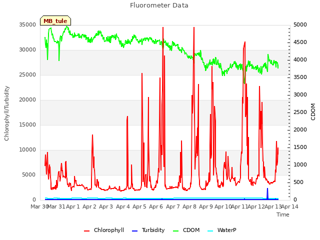 plot of Fluorometer Data