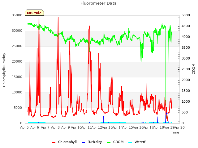 plot of Fluorometer Data