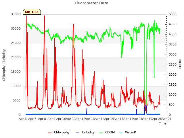 plot of Fluorometer Data