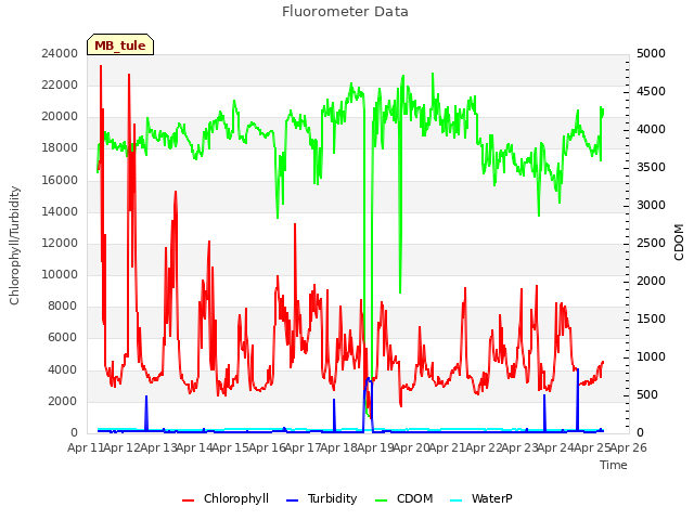 plot of Fluorometer Data