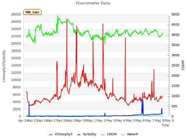 plot of Fluorometer Data