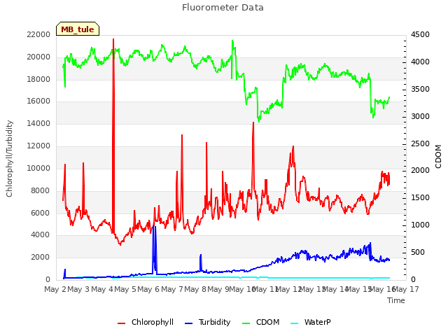 plot of Fluorometer Data