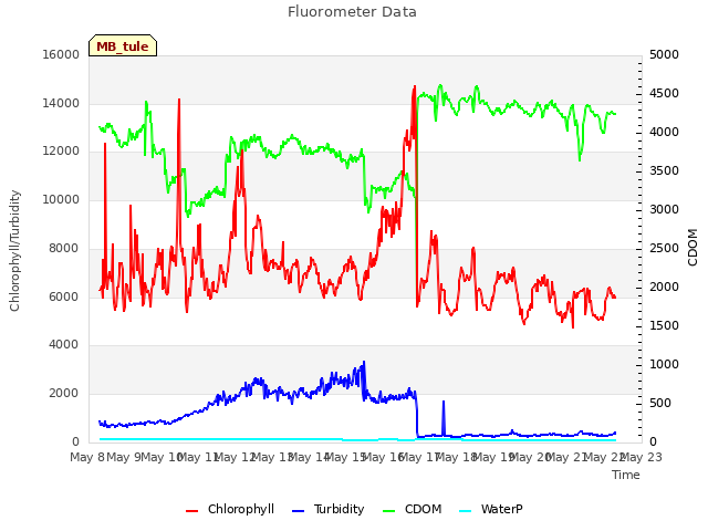 plot of Fluorometer Data