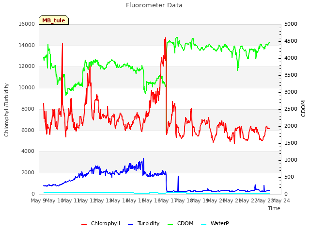 plot of Fluorometer Data