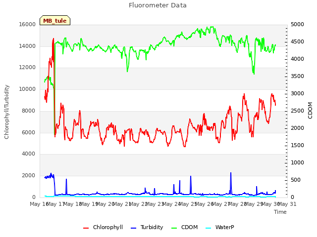 plot of Fluorometer Data