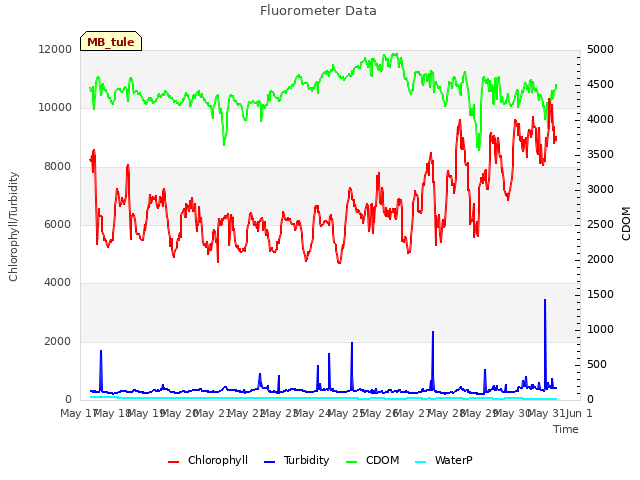 plot of Fluorometer Data