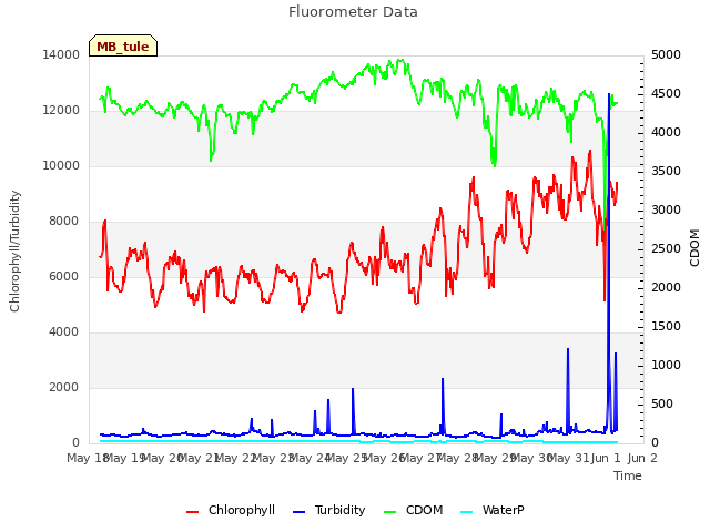 plot of Fluorometer Data