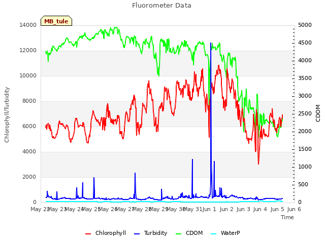 plot of Fluorometer Data