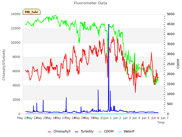 plot of Fluorometer Data