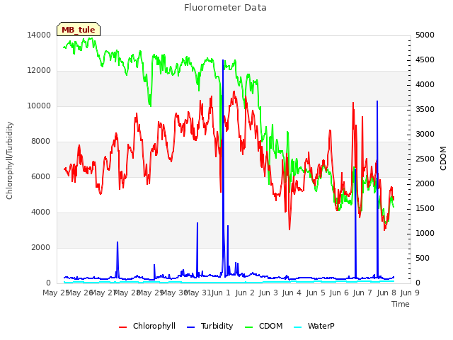 plot of Fluorometer Data