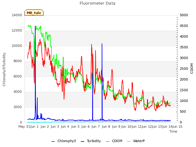 plot of Fluorometer Data