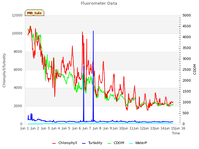 plot of Fluorometer Data