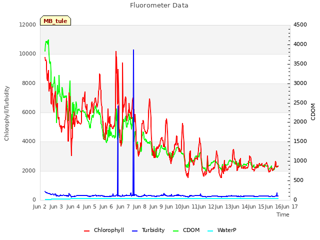 plot of Fluorometer Data