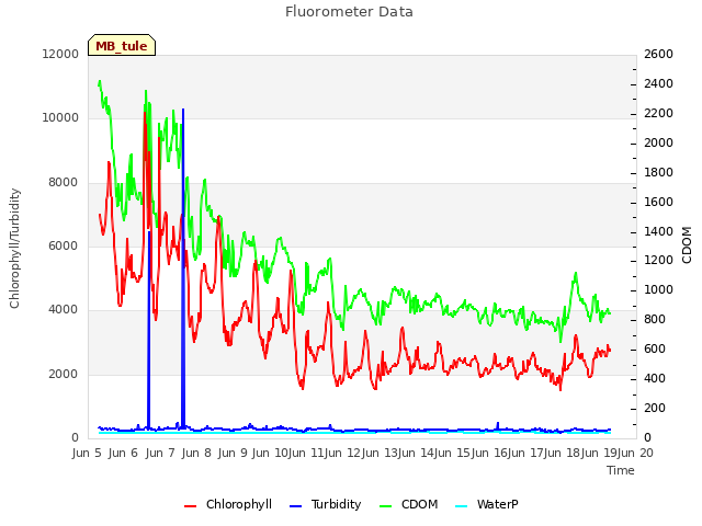 plot of Fluorometer Data