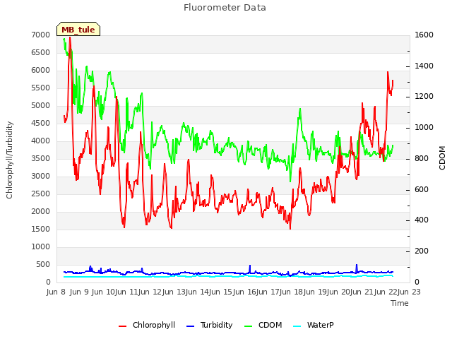 plot of Fluorometer Data