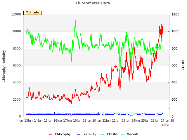 plot of Fluorometer Data