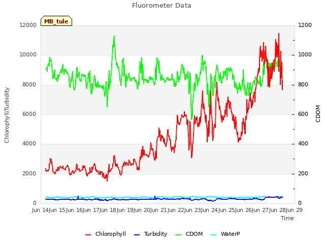 plot of Fluorometer Data