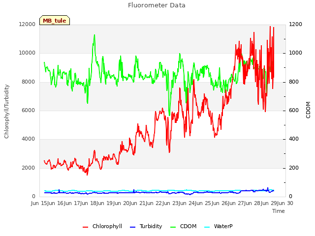 plot of Fluorometer Data