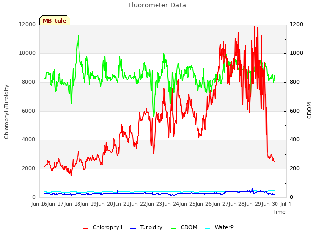 plot of Fluorometer Data