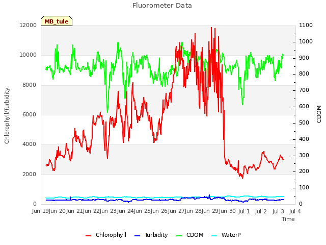 plot of Fluorometer Data