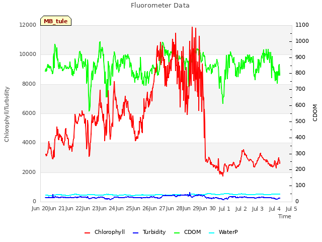 plot of Fluorometer Data