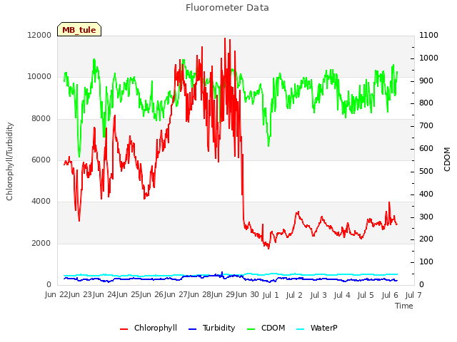 plot of Fluorometer Data