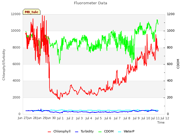 plot of Fluorometer Data