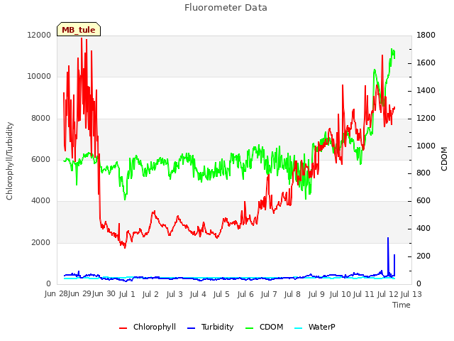 plot of Fluorometer Data