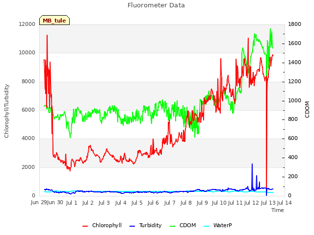 plot of Fluorometer Data