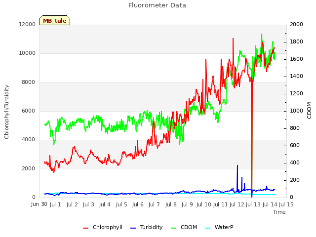 plot of Fluorometer Data