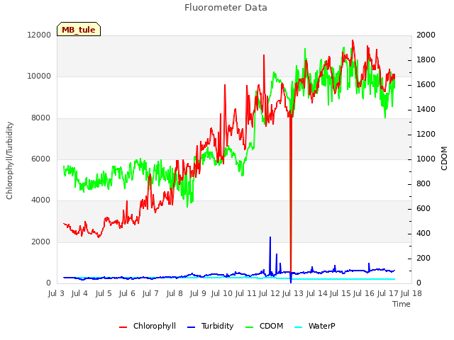 plot of Fluorometer Data