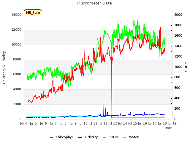 plot of Fluorometer Data