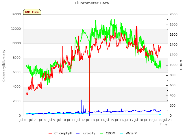 plot of Fluorometer Data