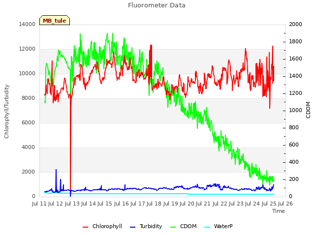 plot of Fluorometer Data