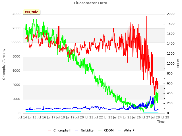 plot of Fluorometer Data