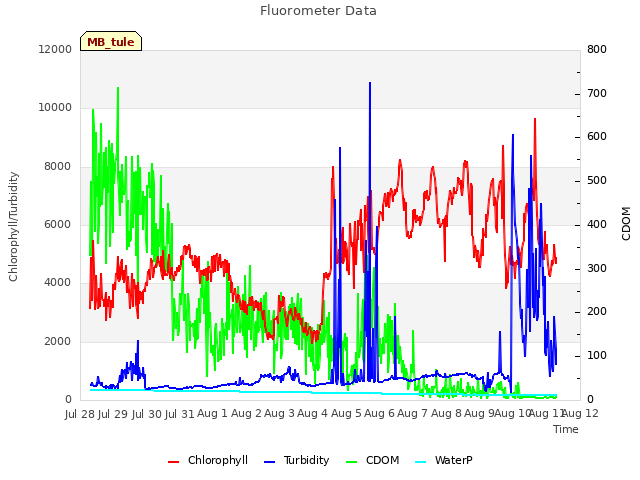 plot of Fluorometer Data