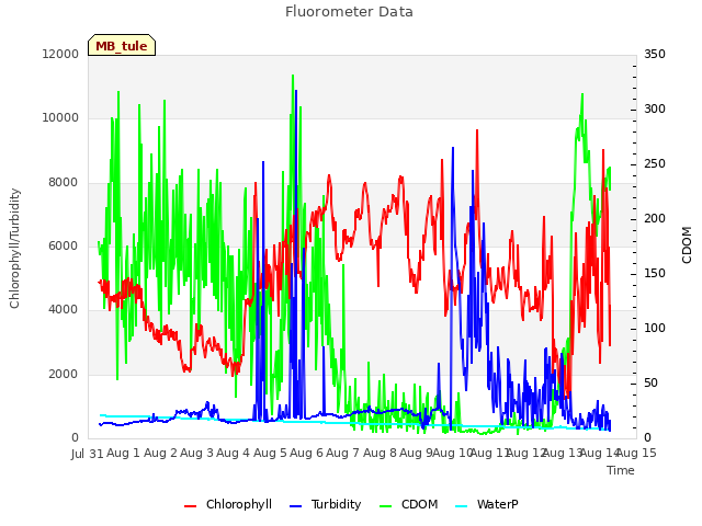 plot of Fluorometer Data