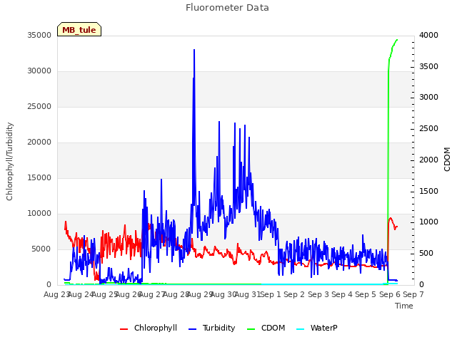 plot of Fluorometer Data