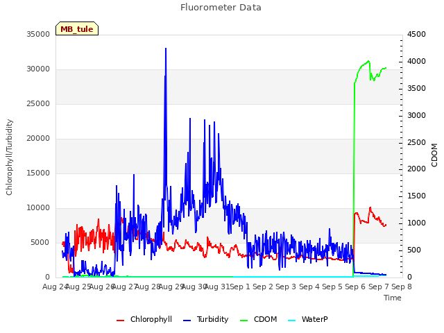 plot of Fluorometer Data