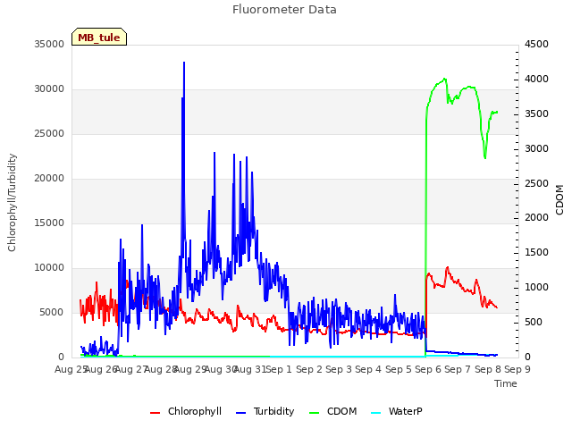 plot of Fluorometer Data