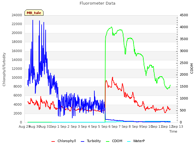 plot of Fluorometer Data