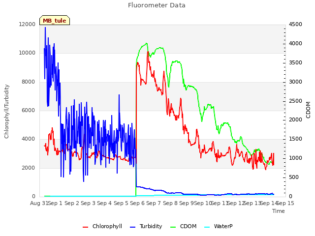 plot of Fluorometer Data