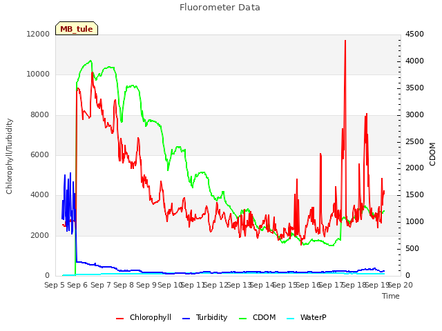 plot of Fluorometer Data