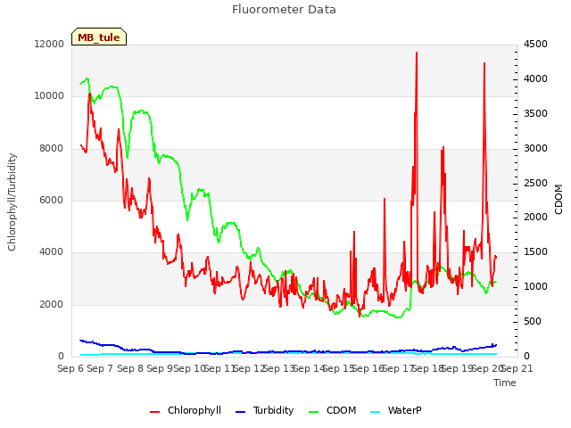 plot of Fluorometer Data