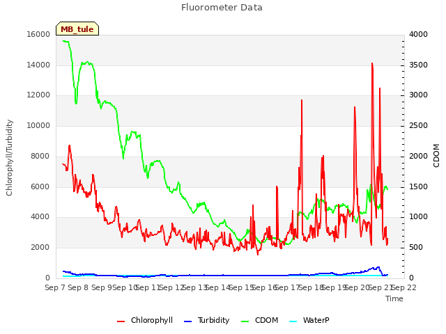 plot of Fluorometer Data