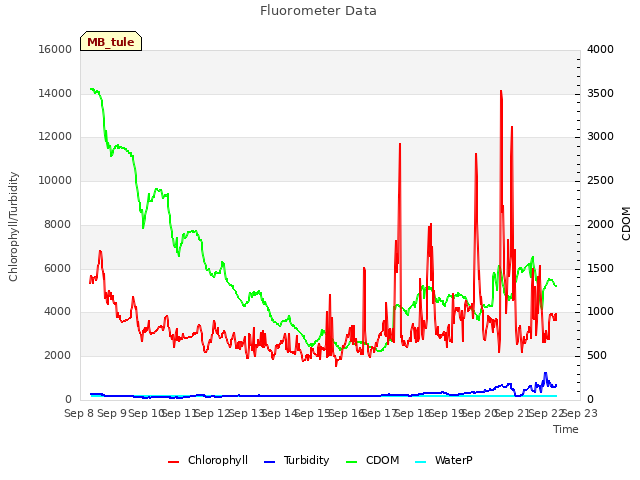 plot of Fluorometer Data