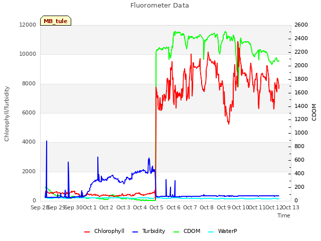 plot of Fluorometer Data