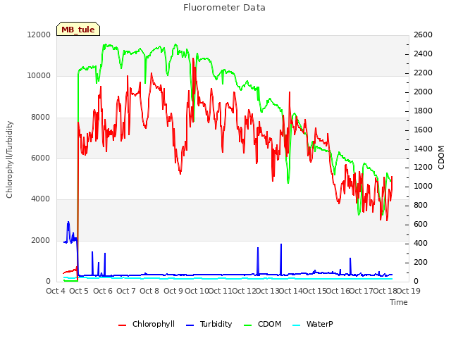 plot of Fluorometer Data