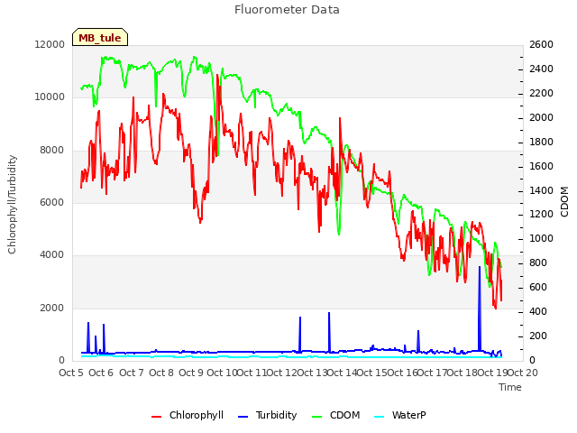 plot of Fluorometer Data